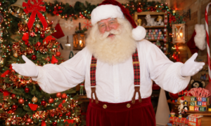 Santa in the Workshop